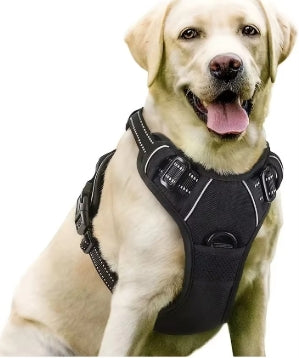 Harnais Grands gilets pour chien