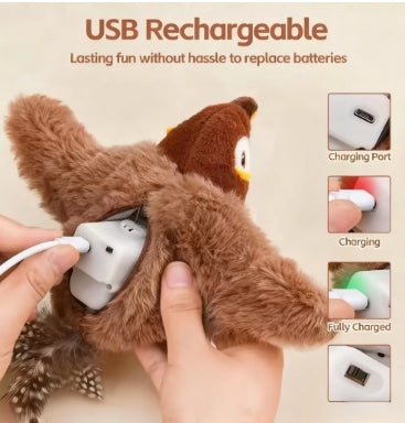 simulation d’oiseau pour chat