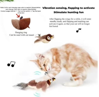 simulation d’oiseau pour chat