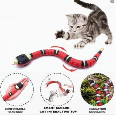Jouets automatiques pour chats