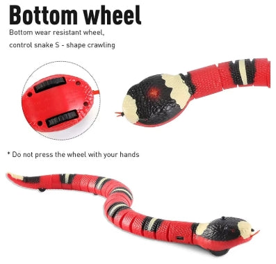 Jouets automatiques pour chats