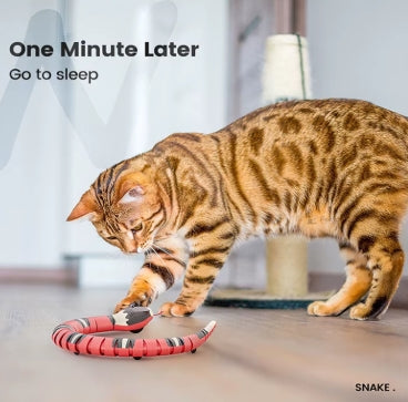 Jouets automatiques pour chats