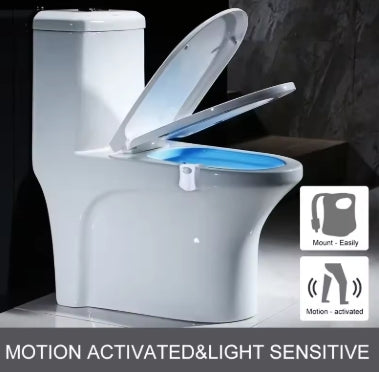 veilleuse pour toilette